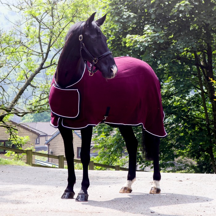 R160 Club Show Rug with Luxury Fluffy Lining in Burgundy